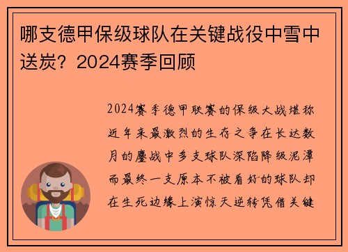 哪支德甲保级球队在关键战役中雪中送炭？2024赛季回顾